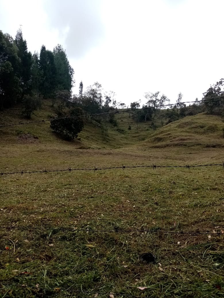 Lote en venta en Guarne, Antioquia