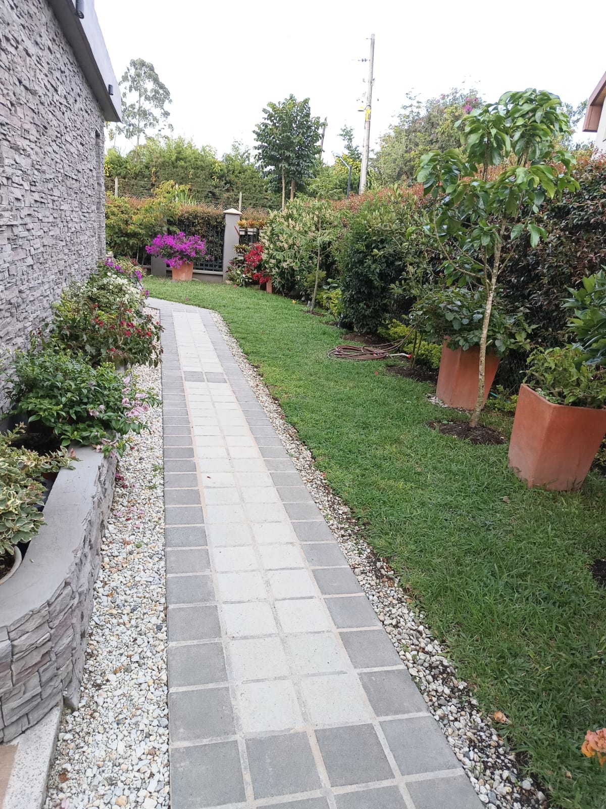 857302020241017093650