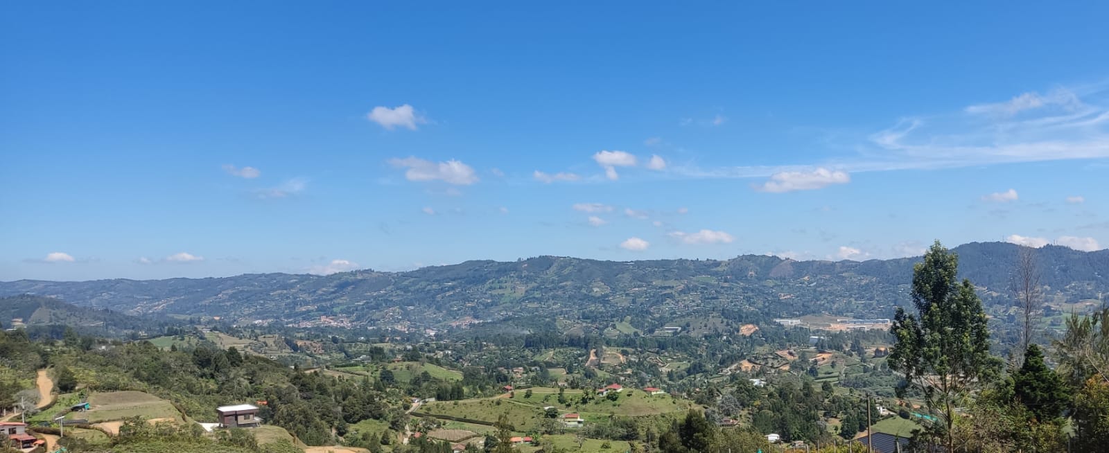 85730220240411034541