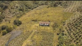 85730220240418044754