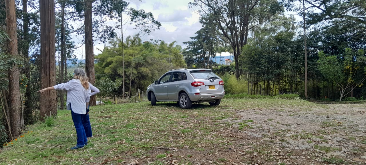 85730220240524022919