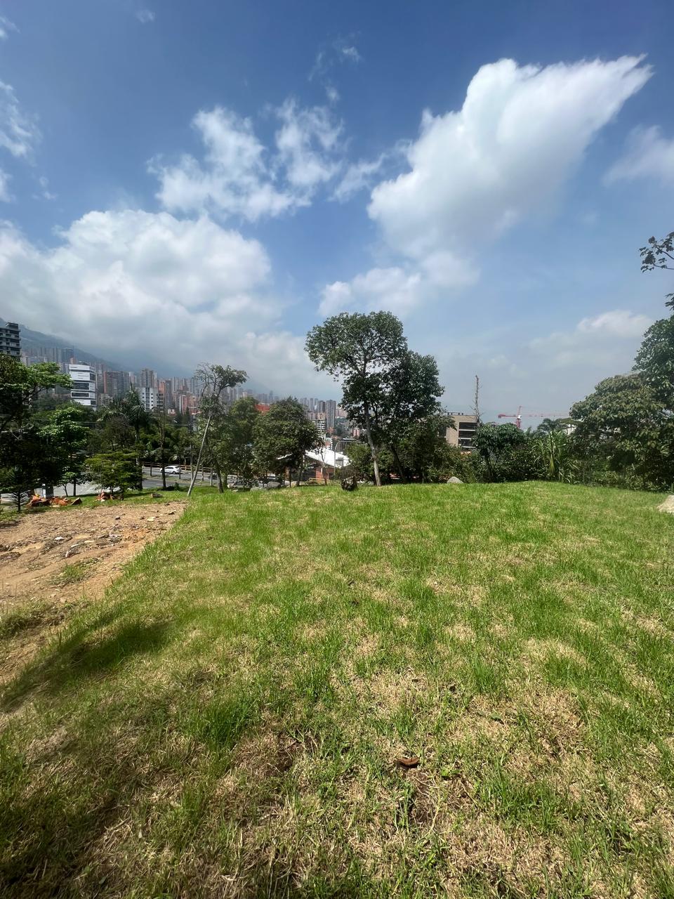 85730220240524091833