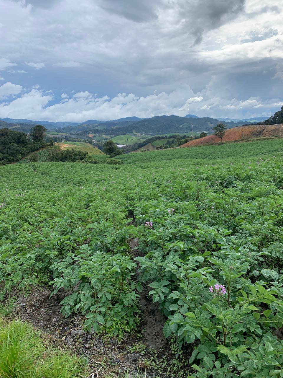 85730220240528092415