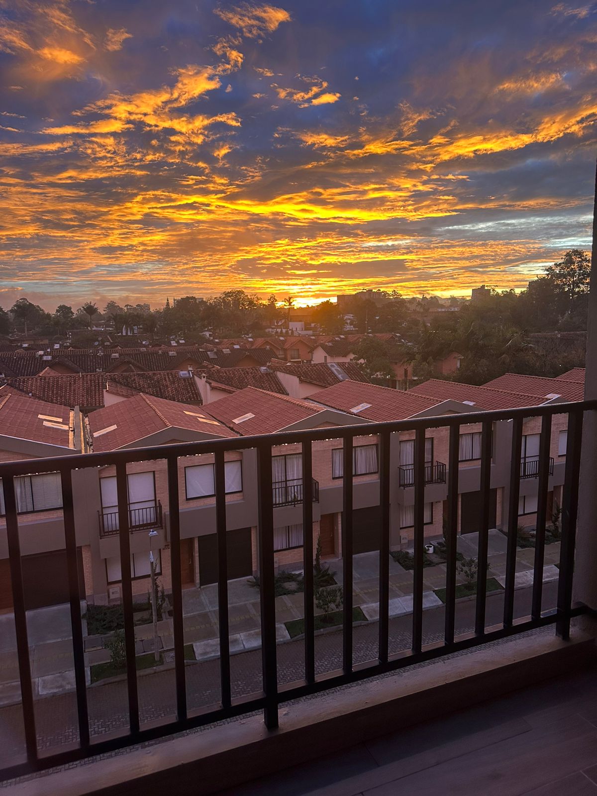 85730220240624094316