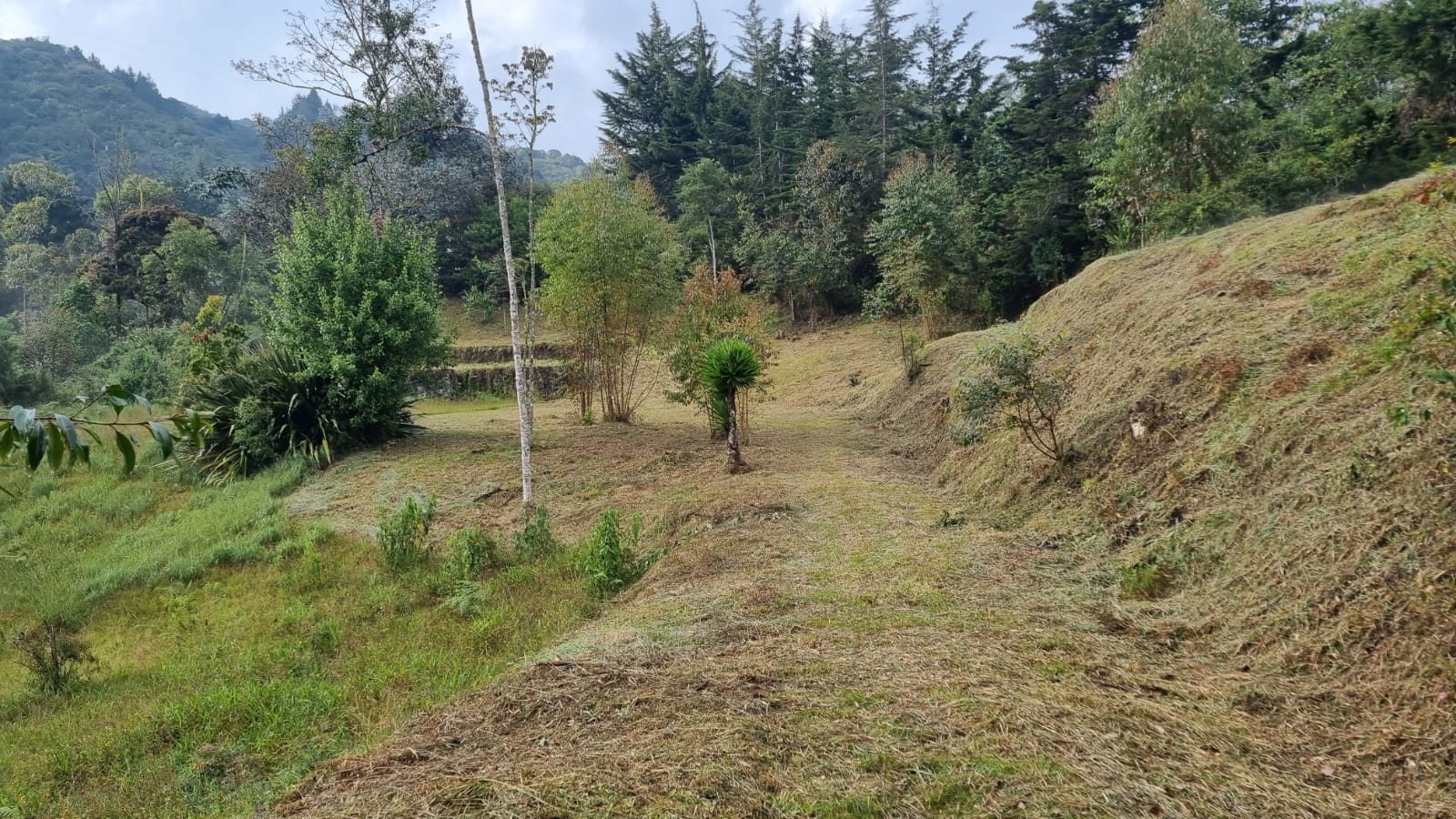 85730220240709043841