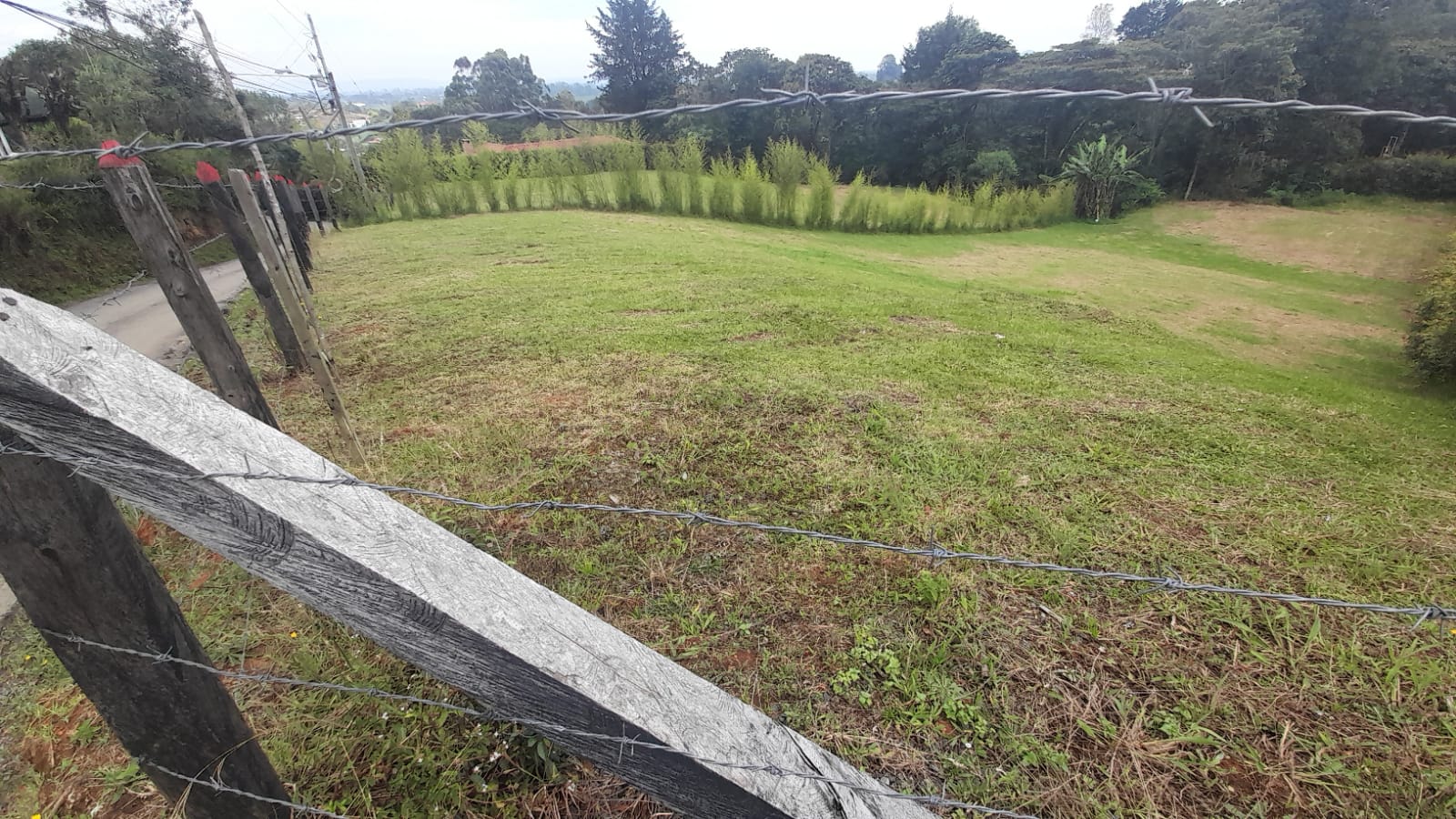 85730220240917040229