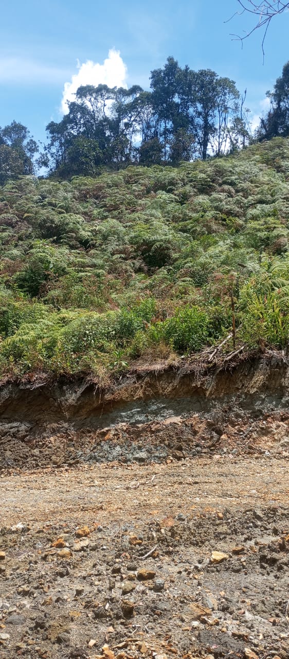 85730220241004104912