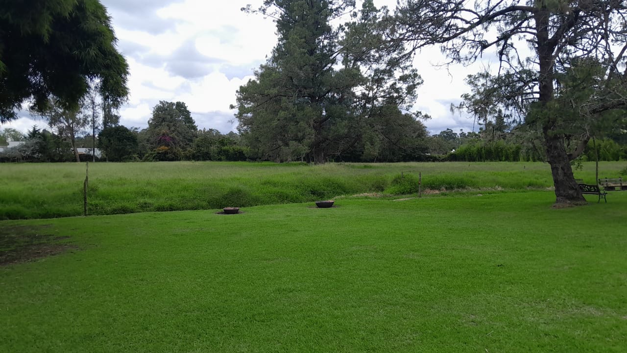 85730220241107122051-1