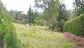 85730220250206040539