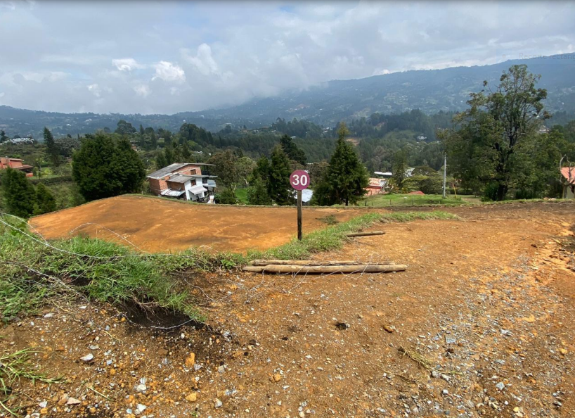 85730220250225123846