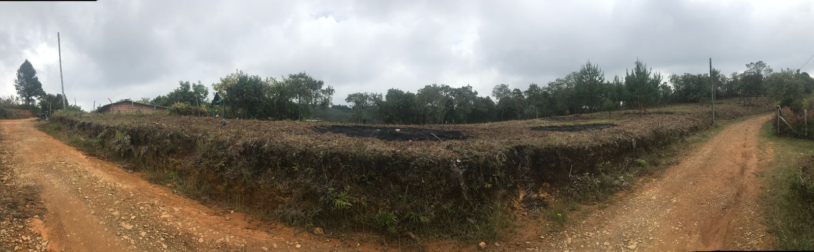 85730220250227095708-1