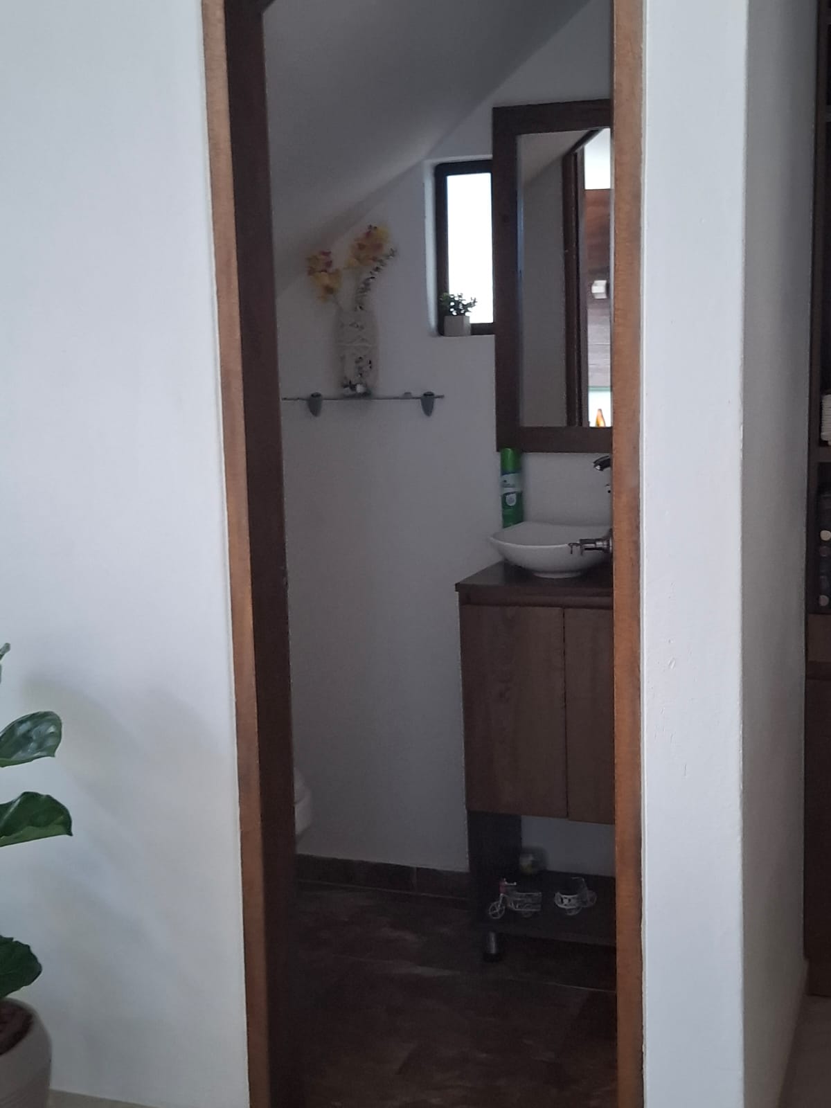 85730220250304102920