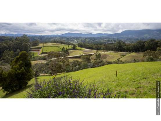 85730220250625010155