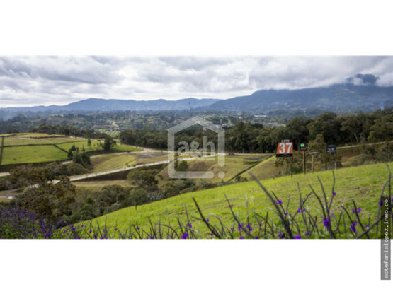 85730220250626051233