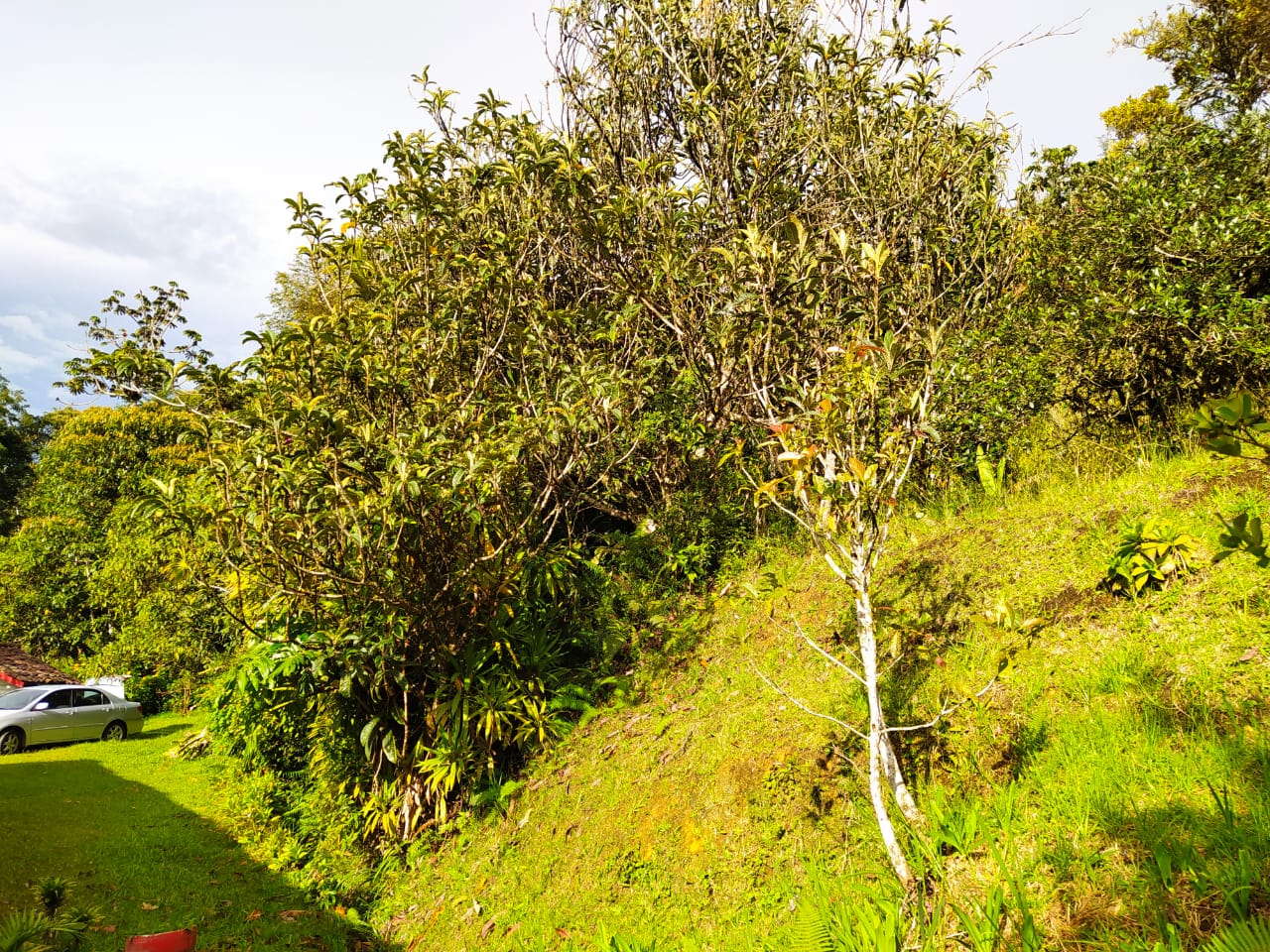 857302320220827111426