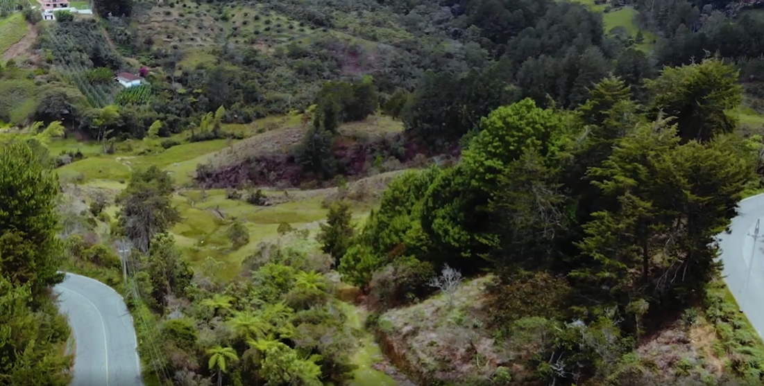 857302620220709123848