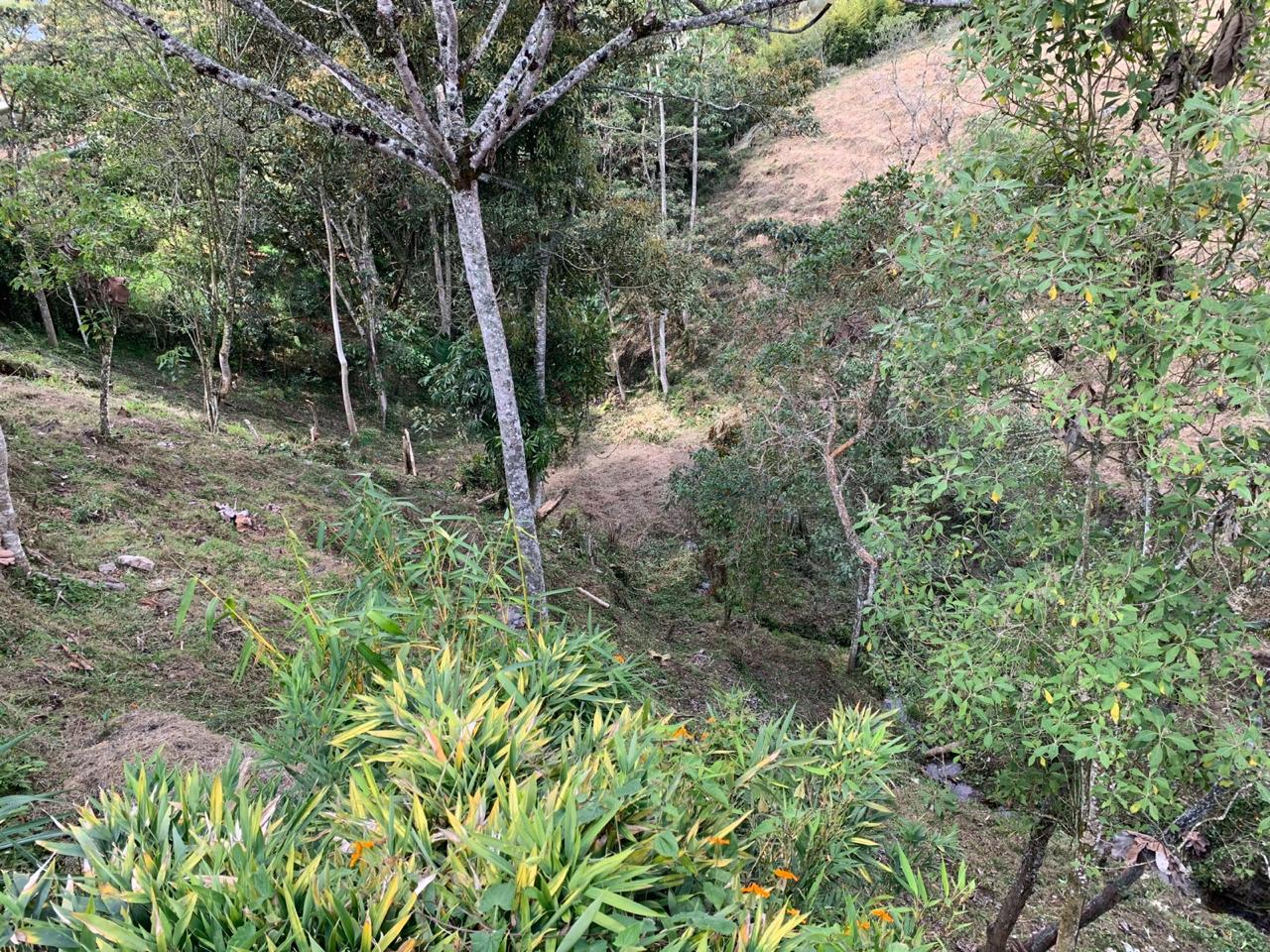 857302720250207040324