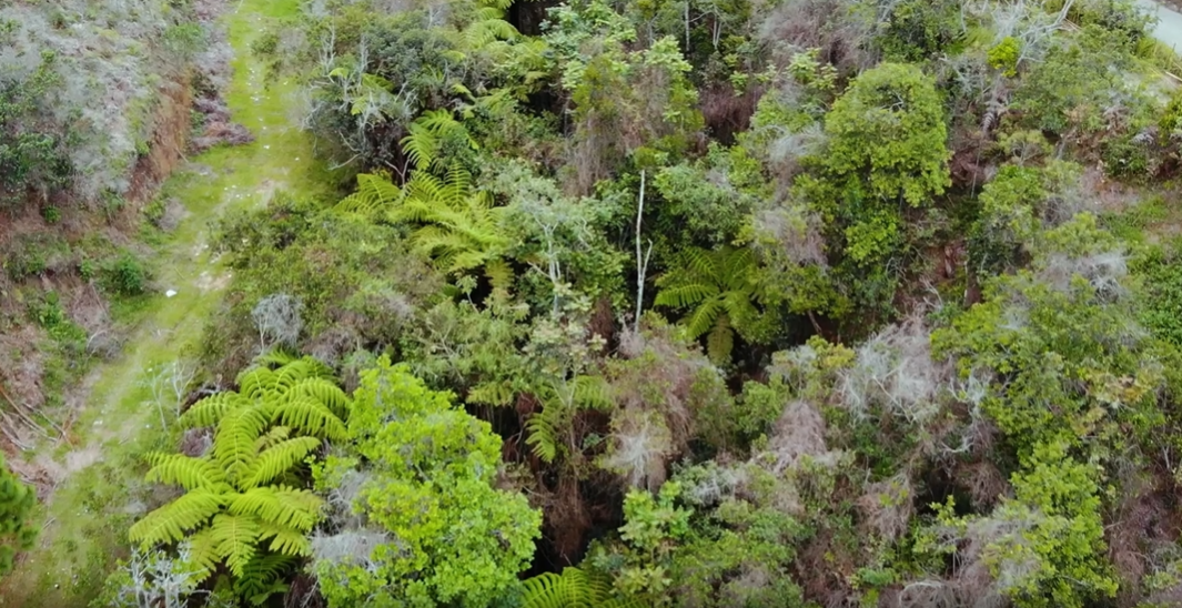 857303020220709115939