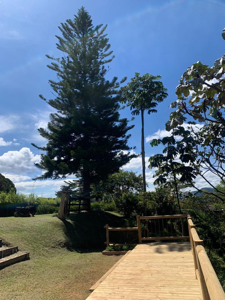 857303020250207040325