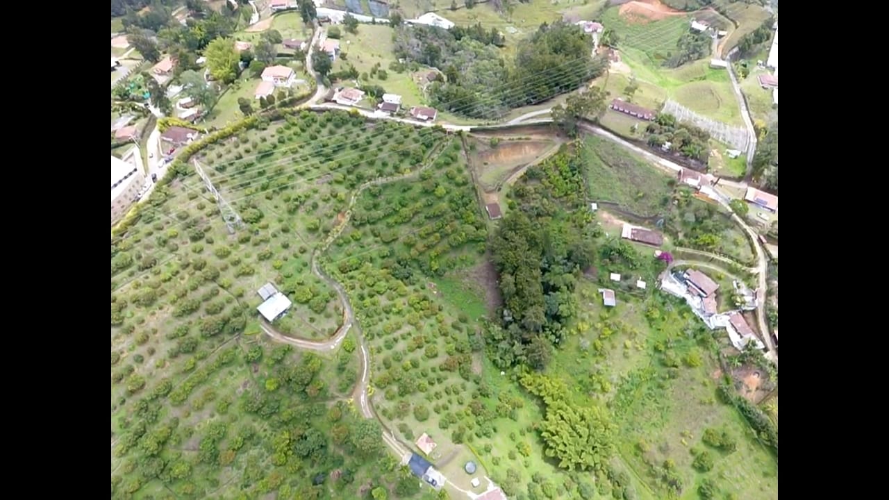 85730320240502093801