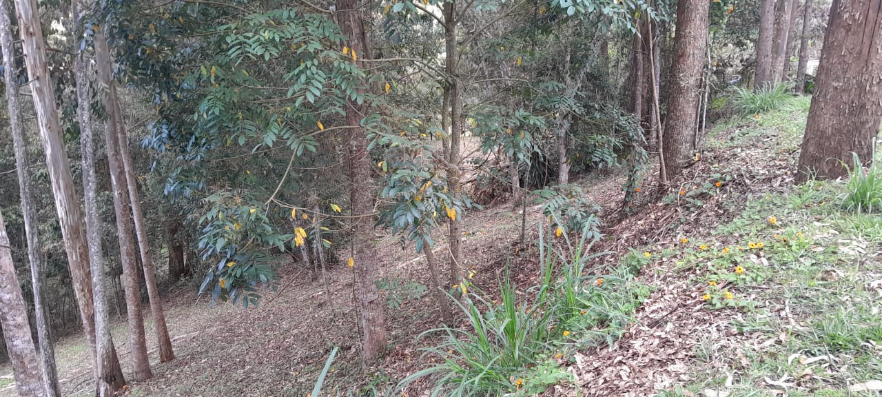 85730320240524022919