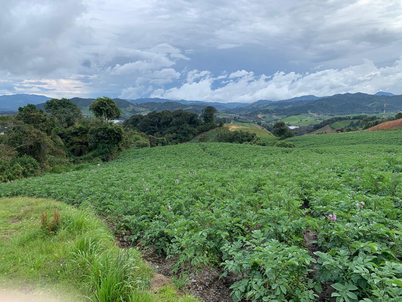 85730320240528092416