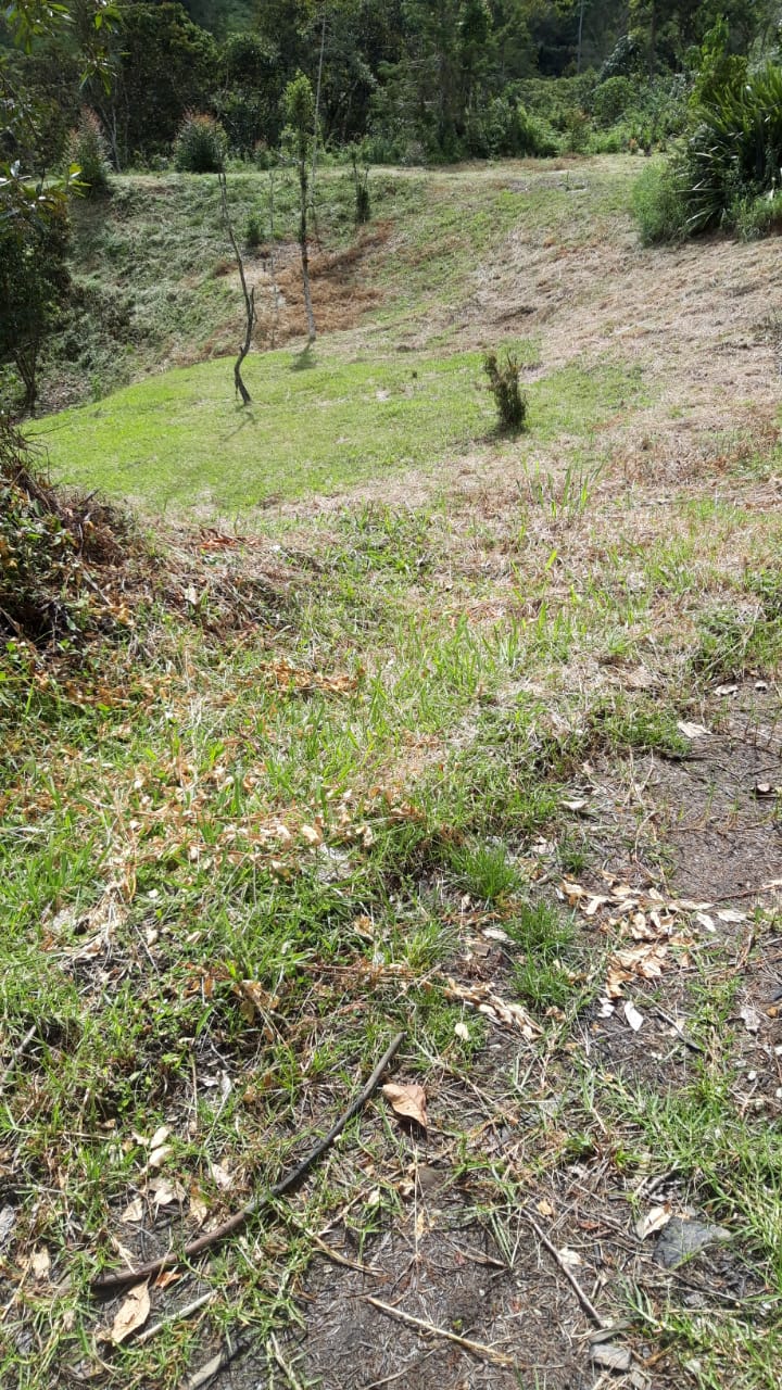 85730320240709043841