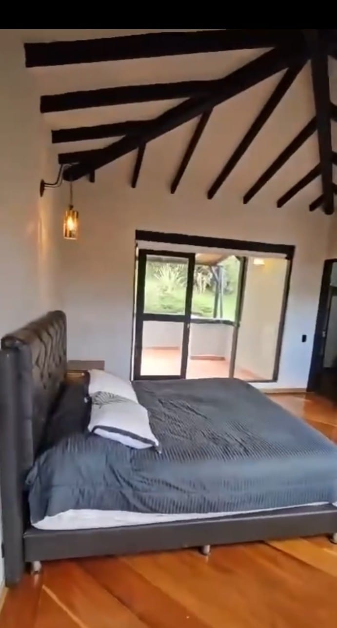 85730320240729125252