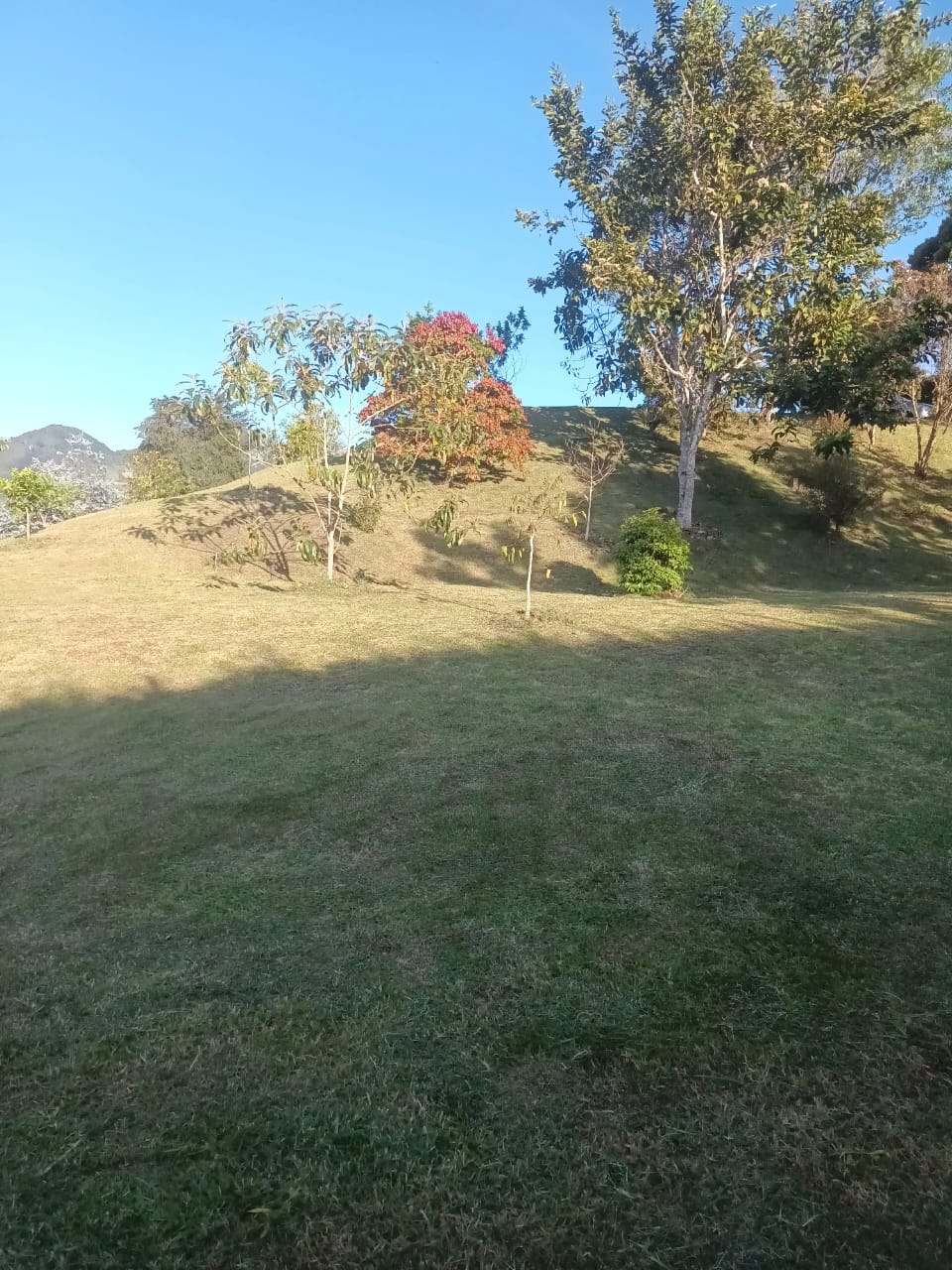 85730320240808115736