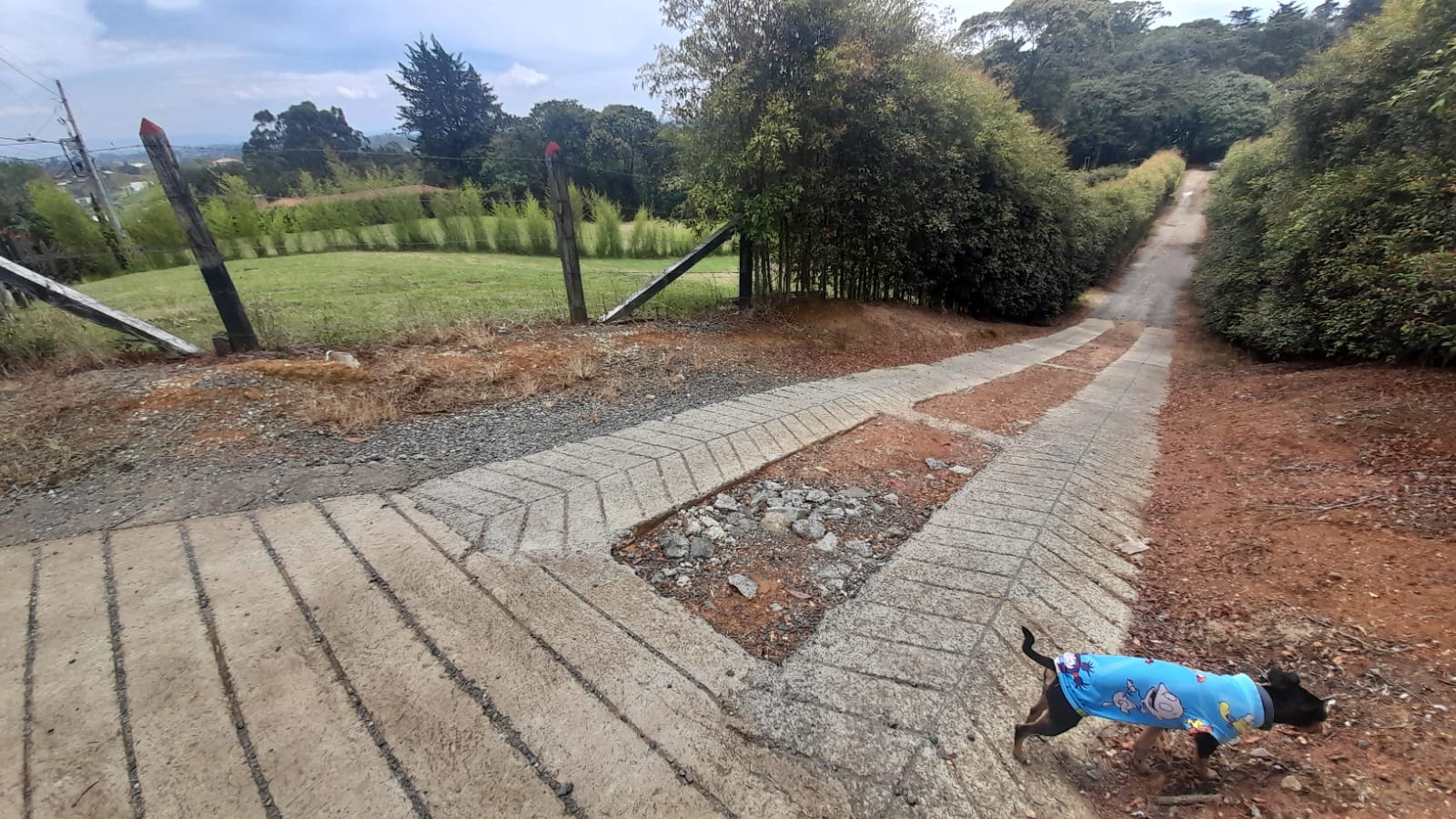 85730320240917040229