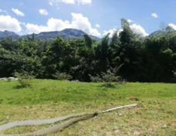 85730320241107092214