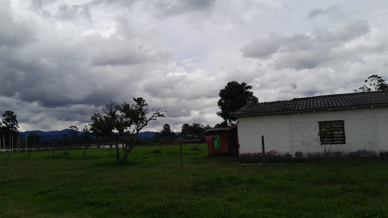 85730320241107102320