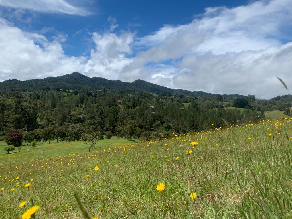 85730320241114022216