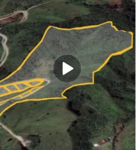 85730320241121044847