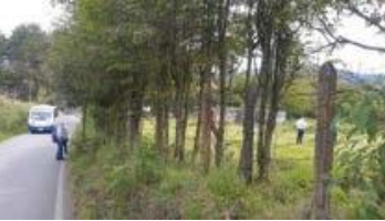 85730320250206040540