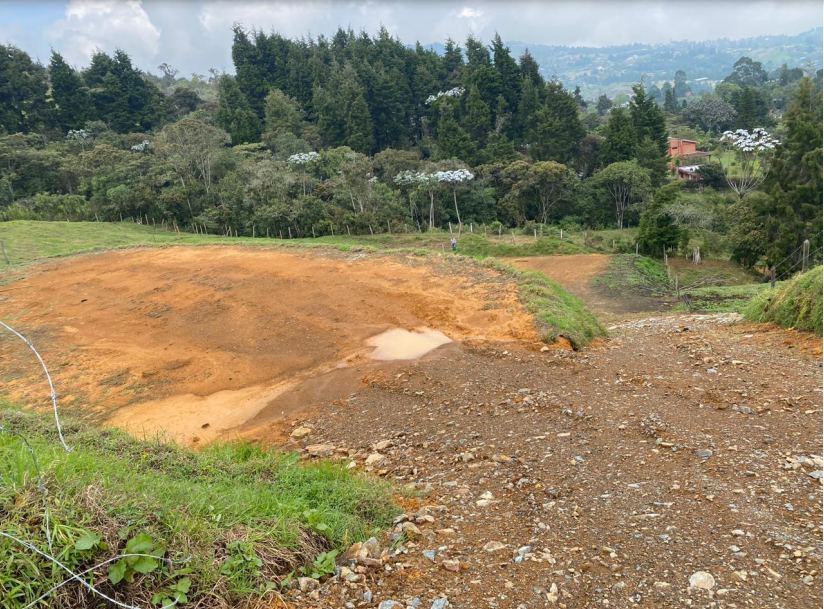 85730320250225123846