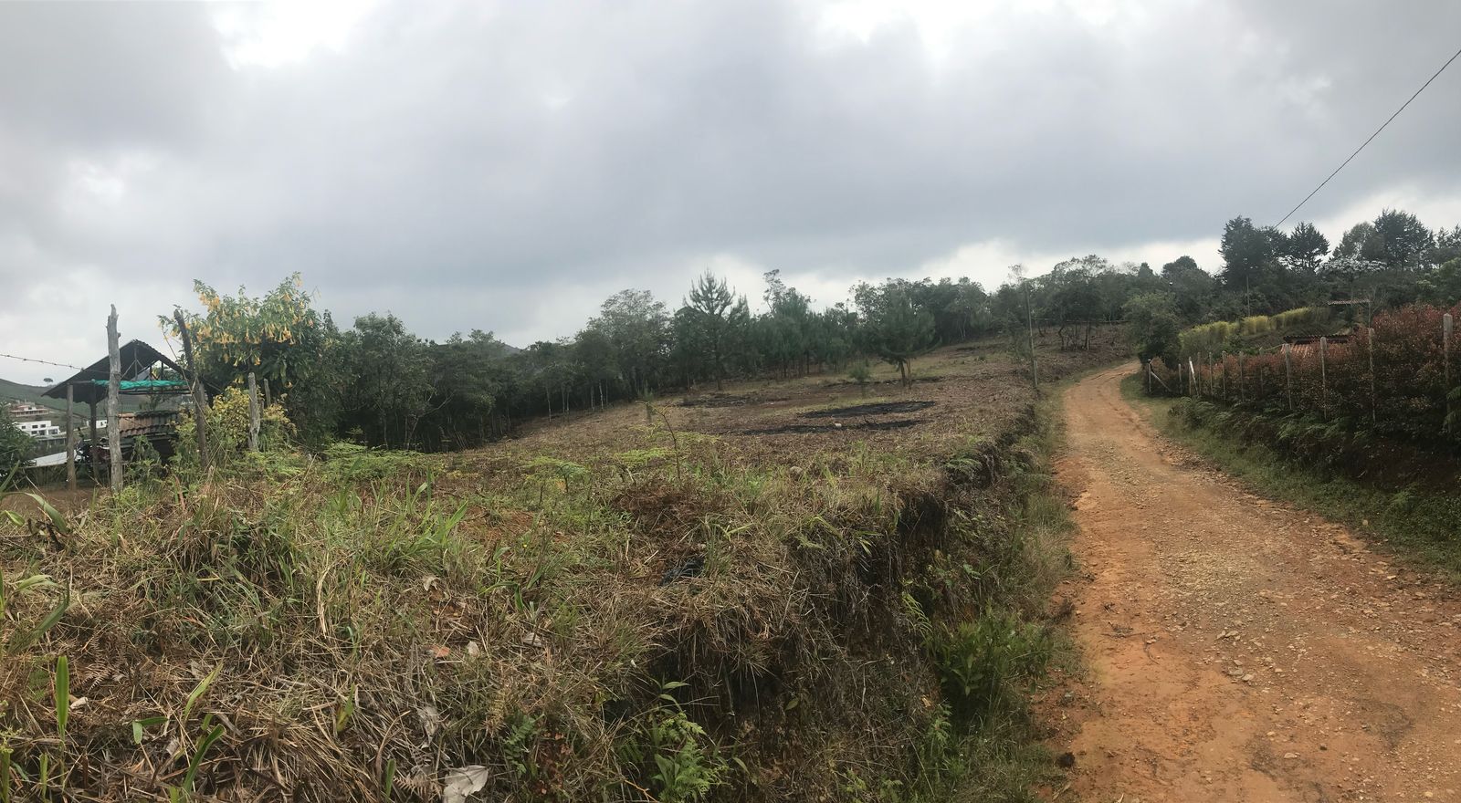 85730320250227095708