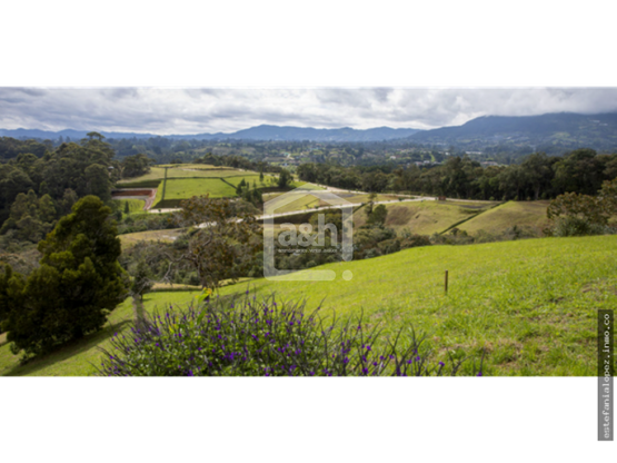 85730320250626051234