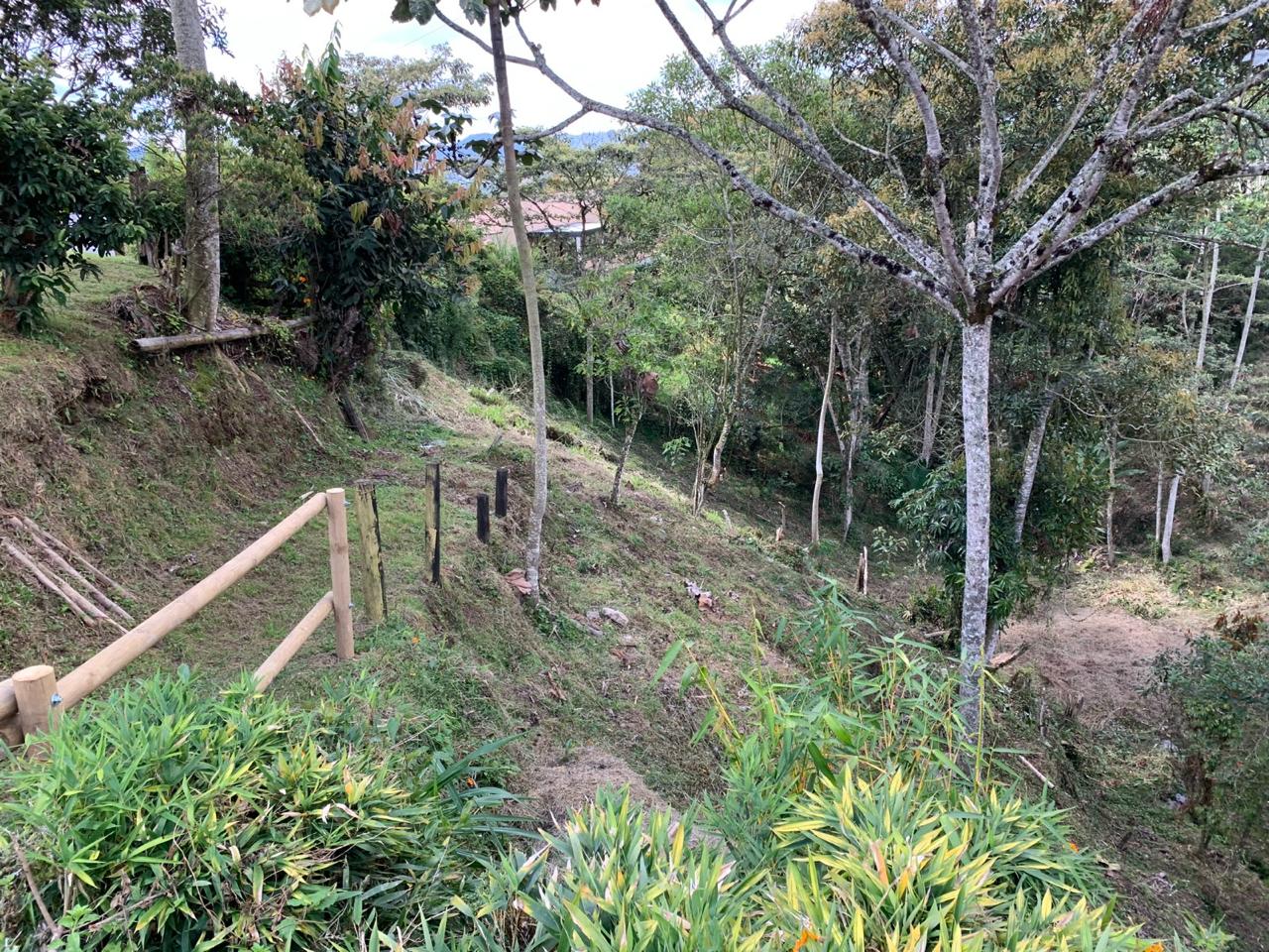 857303220250207040326