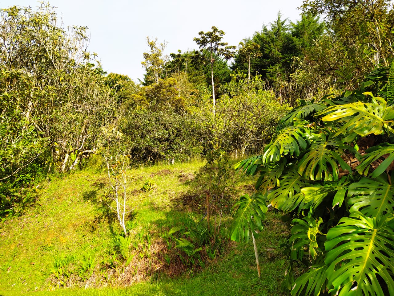 85730420220827111420