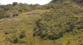 85730420240418044755