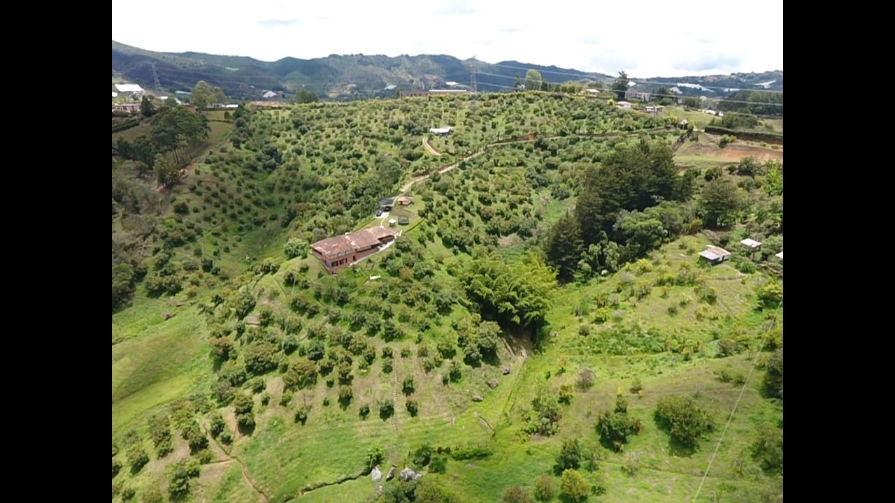 85730420240502093801