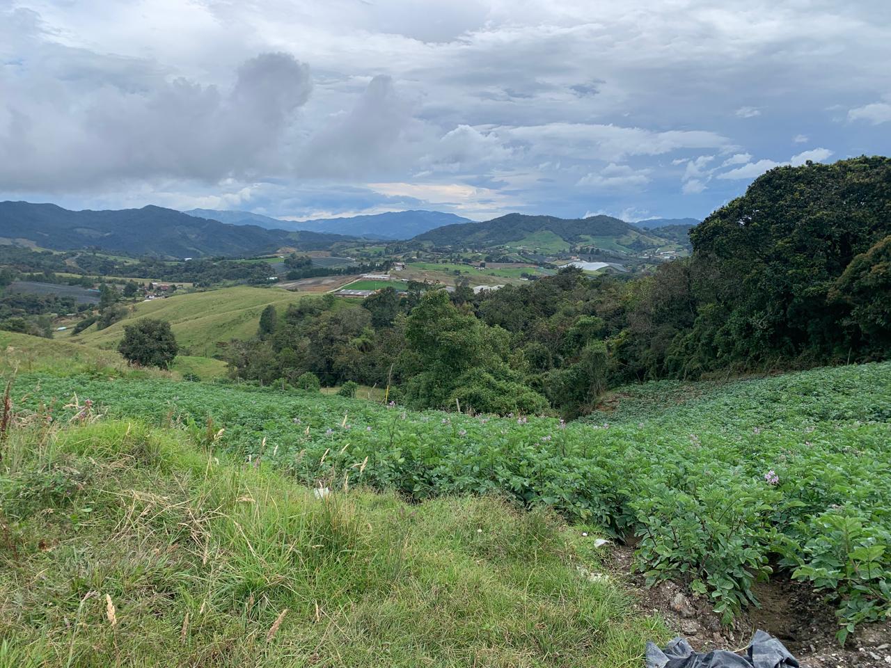 85730420240528092416