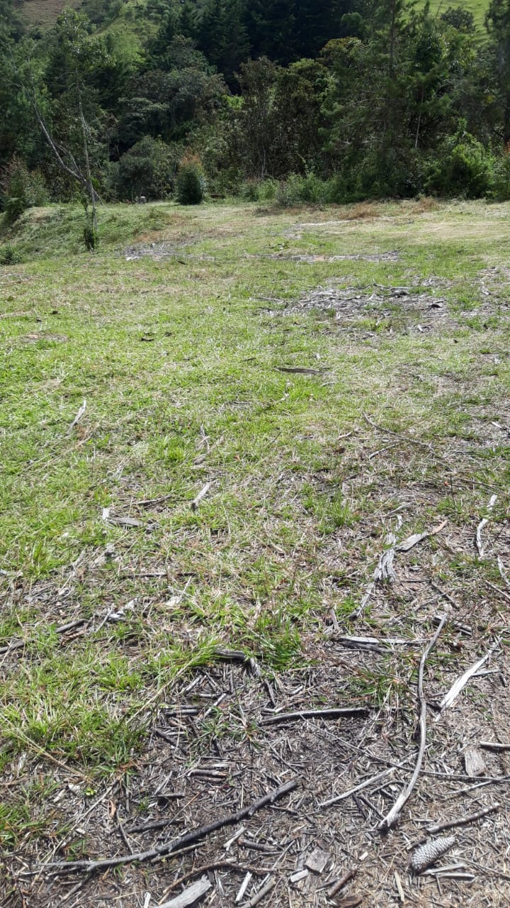 85730420240709043841