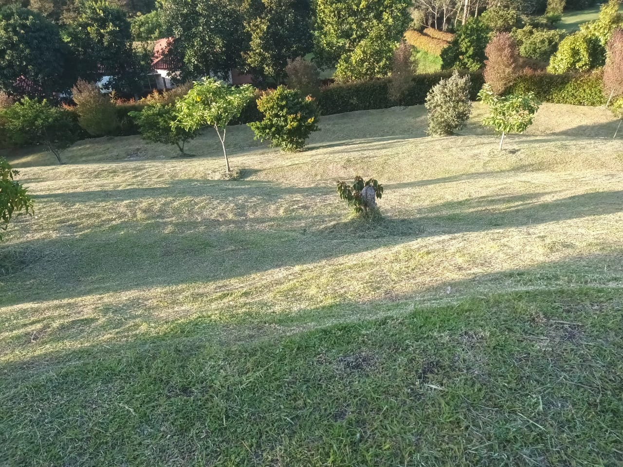 85730420240808115737