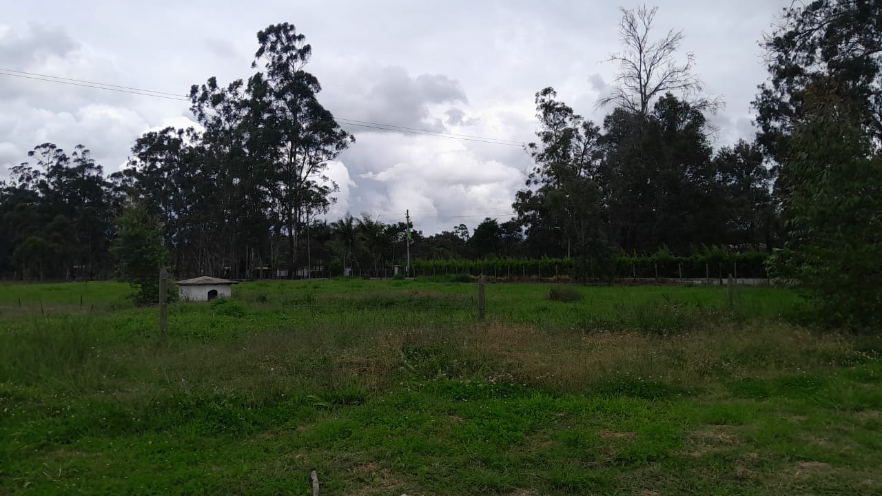 85730420241107102320