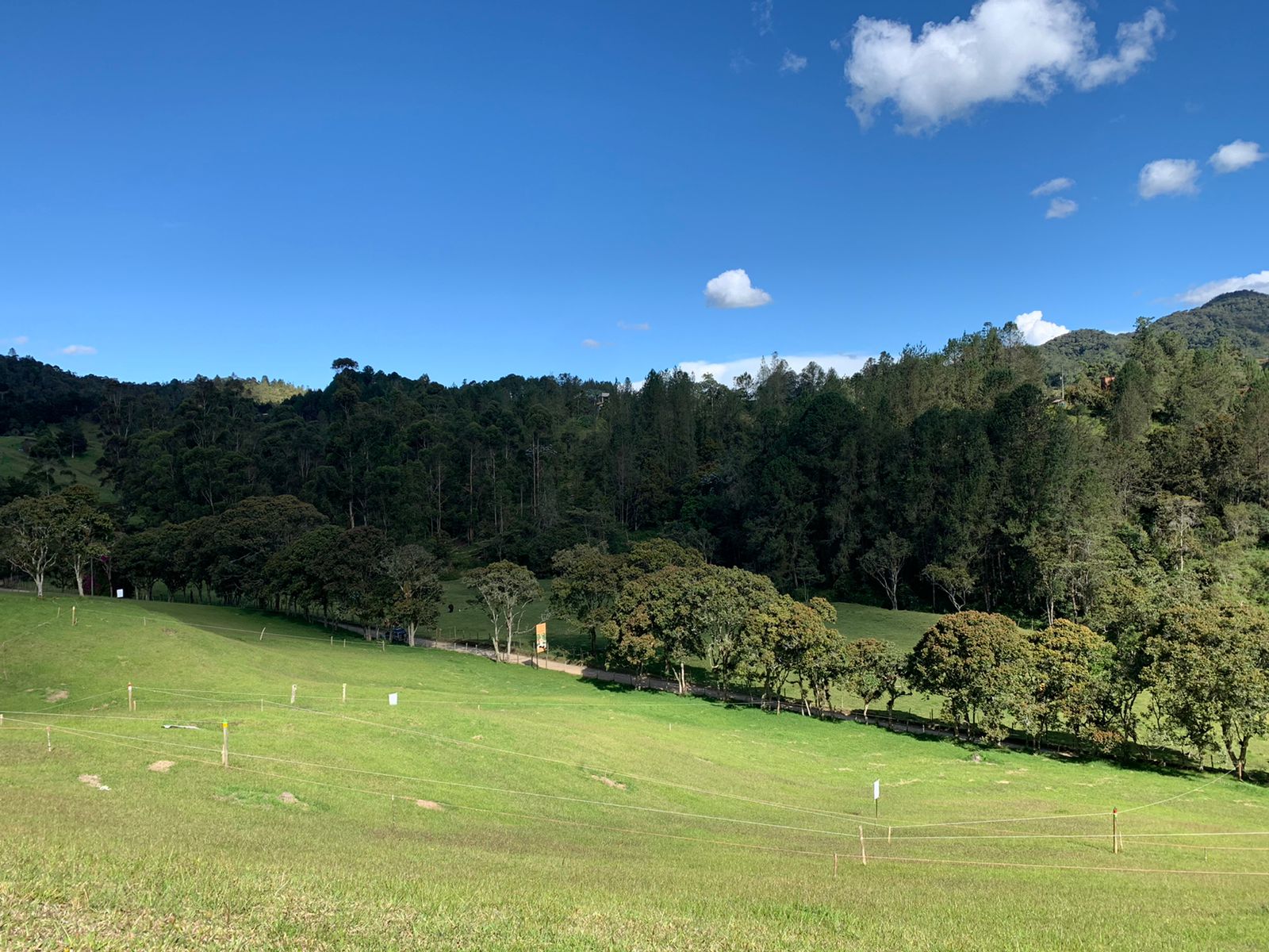 85730420241114022217