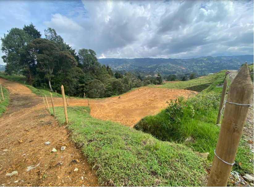 85730420250225123847