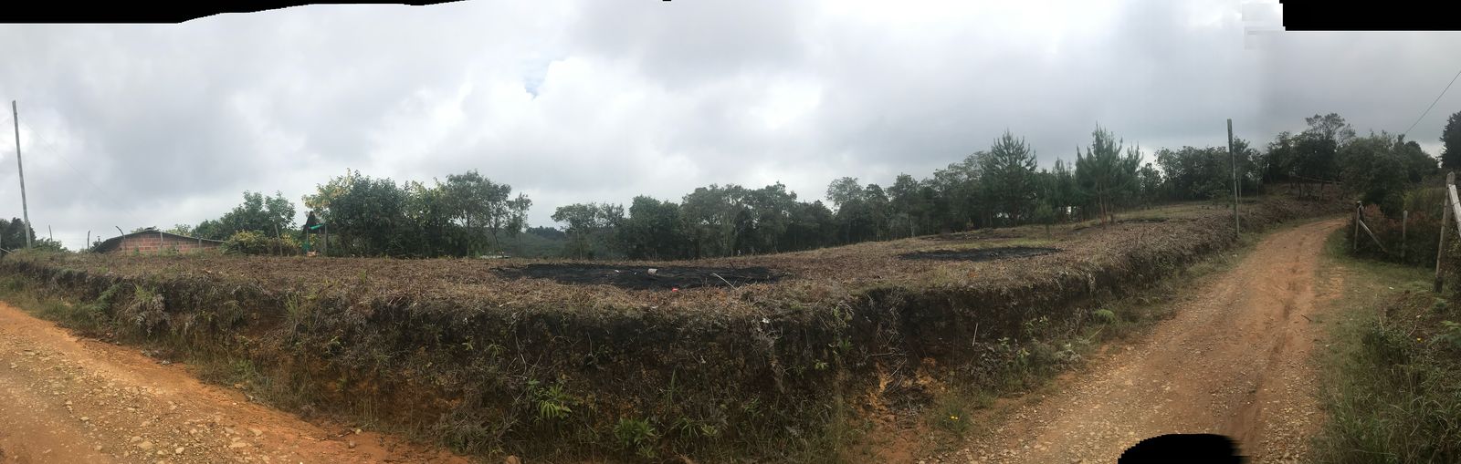 85730420250227095708