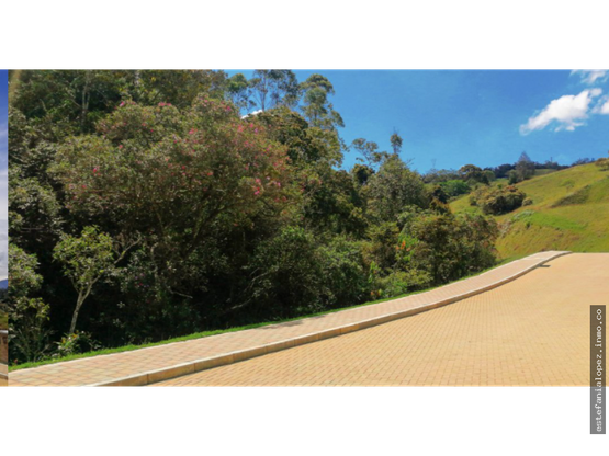 85730420250625010156